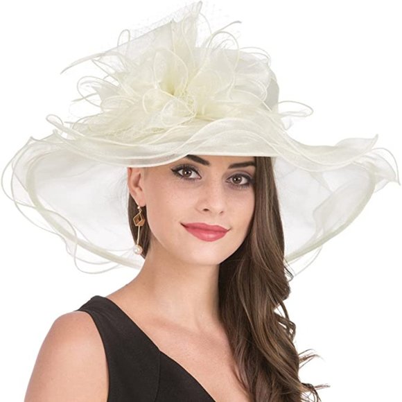 ⭐️ Fascinator Hat - Picture 1 of 2